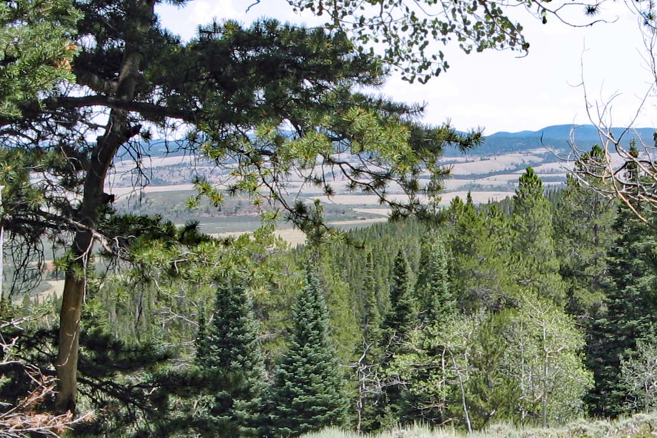 Land in Sand Creek