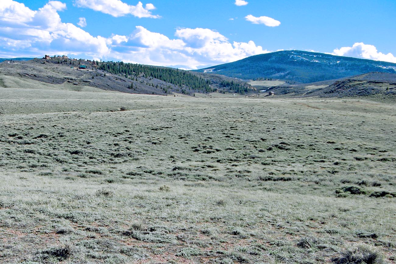 Land in Sand Creek