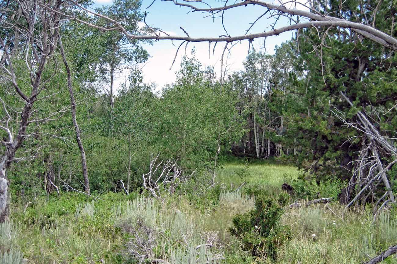 Land in Sand Creek